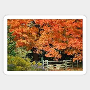 Glory of Autumn Sticker